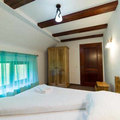Casa Georgiana Gabriel 1009